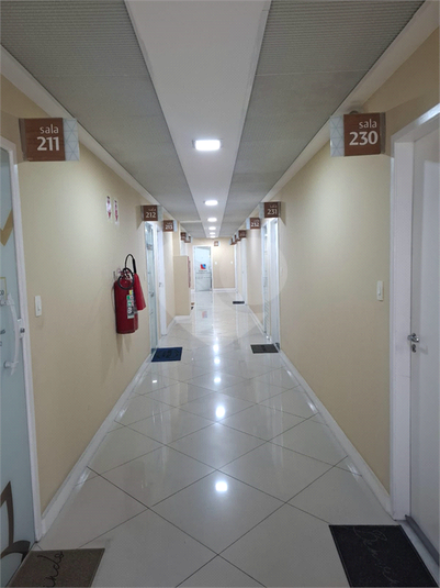 Foto REO1116054
