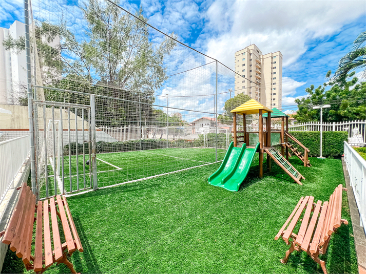 Foto REO1116057