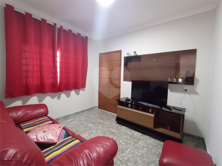 Foto REO1116059