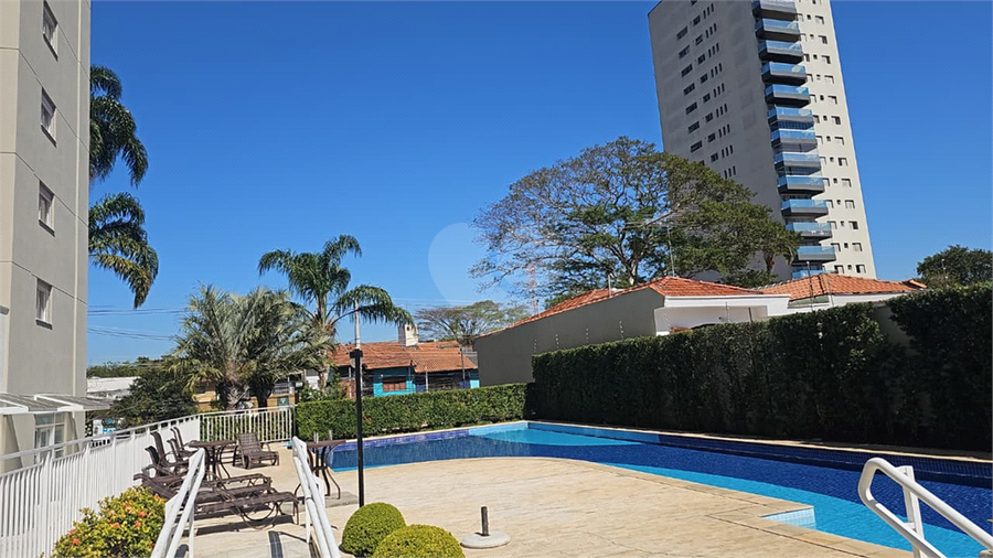 Foto REO1116061