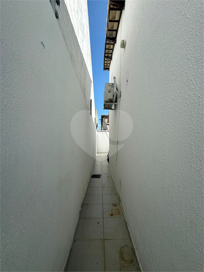 Foto REO1116073