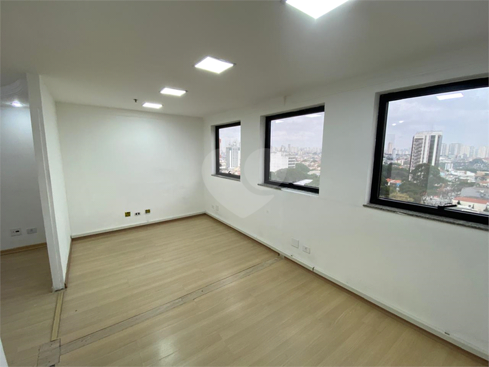 Foto REO1116076