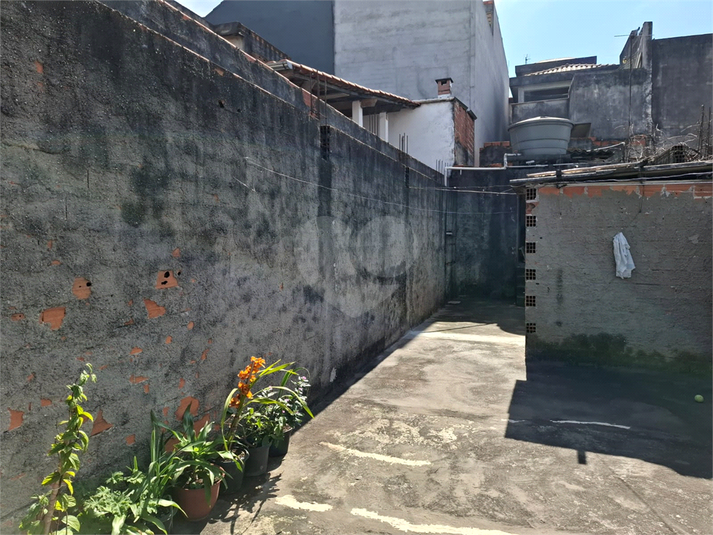 Foto REO1116114