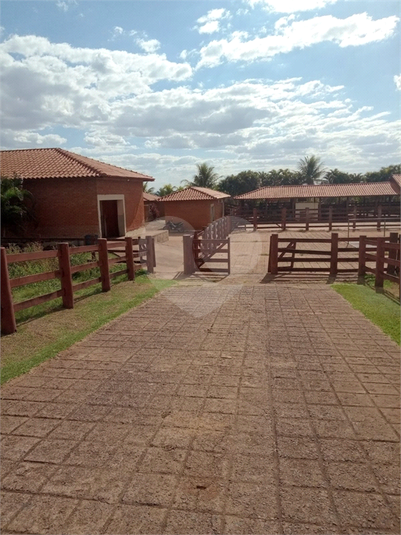 Foto REO1116122