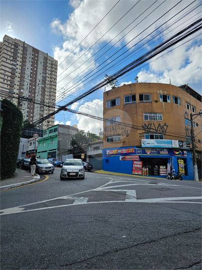 Foto REO1116145