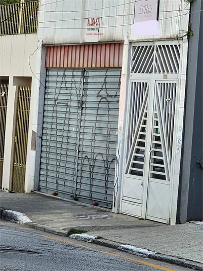 Foto REO1116145