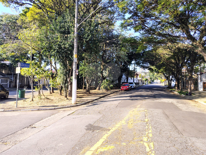 Foto REO1116150