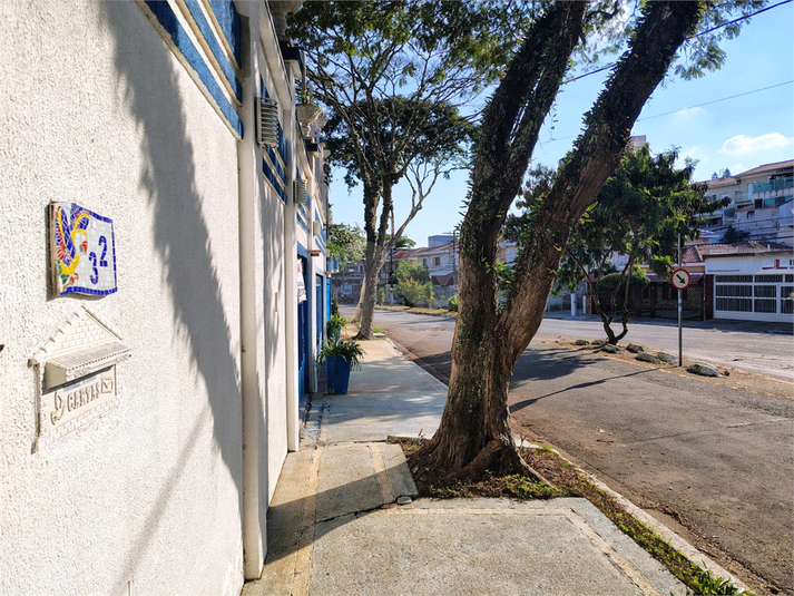 Foto REO1116150