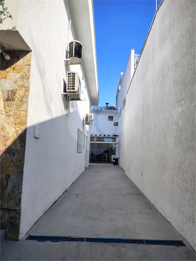 Foto REO1116150