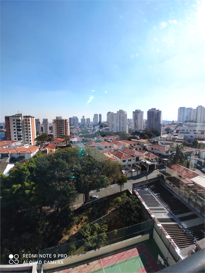 Foto REO1116152