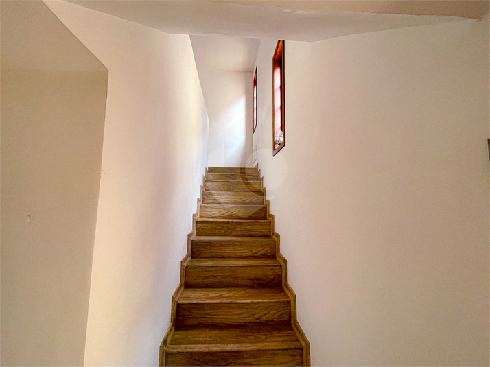 Foto REO1116155