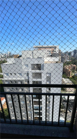 Foto REO1116173