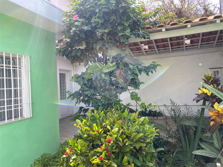 Foto REO1116188