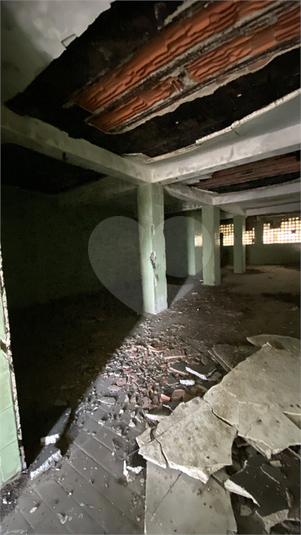 Foto REO1116225
