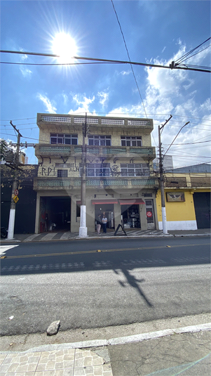 Foto REO1116225