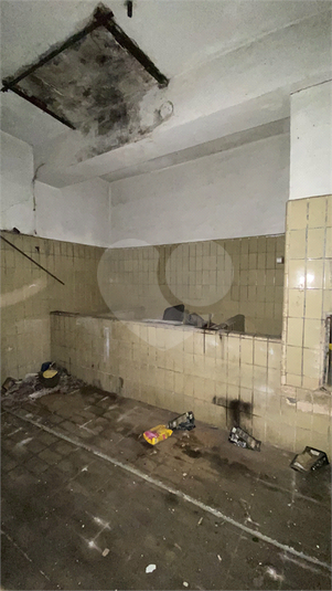 Foto REO1116225