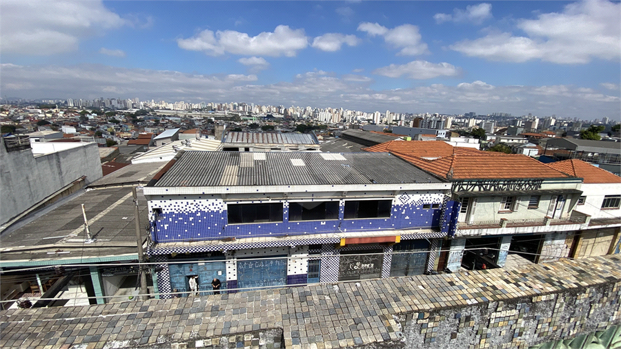 Foto REO1116225