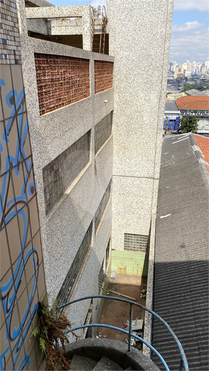 Foto REO1116225