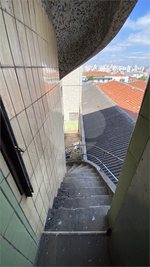 Foto REO1116225