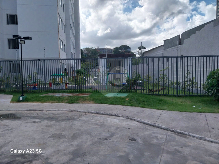 Foto REO1116234