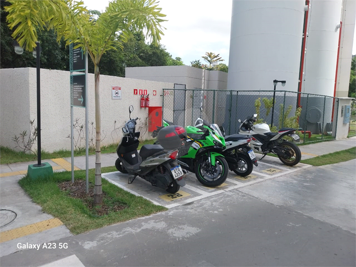 Foto REO1116234