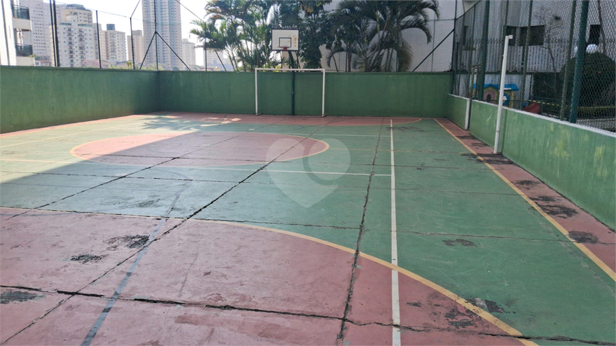 Foto REO1116235
