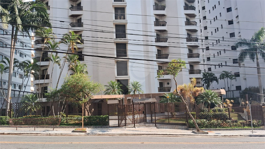 Foto REO1116235