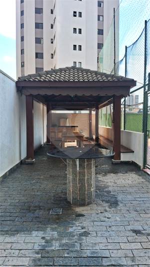 Foto REO1116235