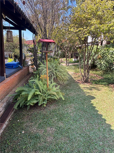 Foto REO1116241