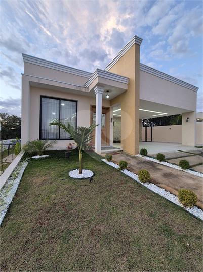 Foto REO1116245
