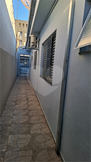 Foto REO1116246