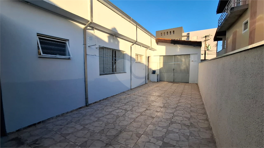 Foto REO1116246
