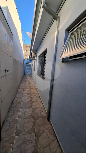 Foto REO1116246