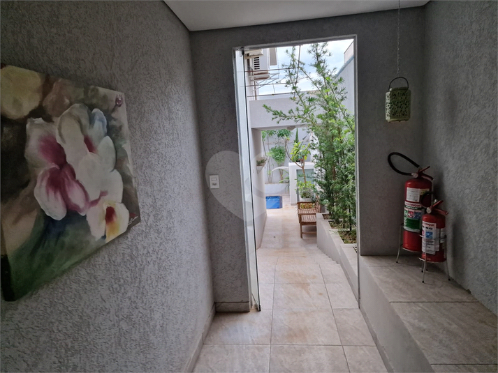Foto REO1116248