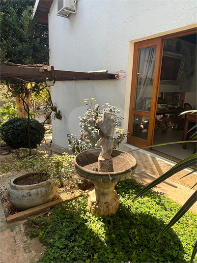 Foto REO1116250