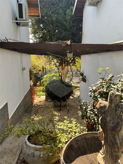 Foto REO1116250
