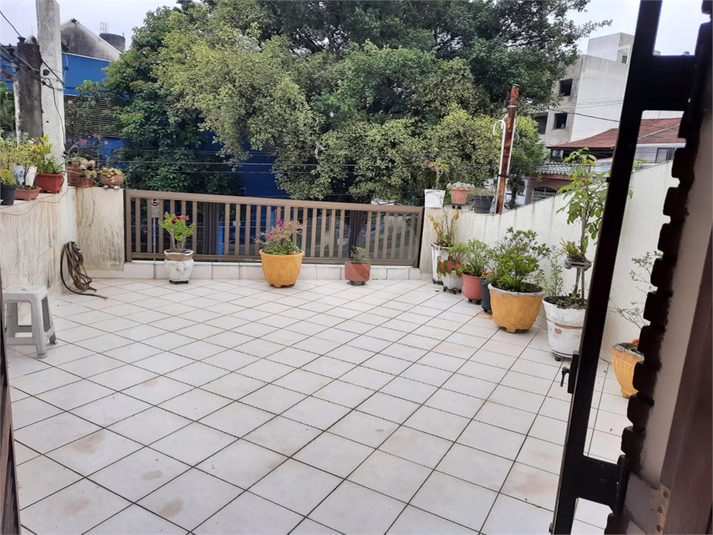 Foto REO1116260