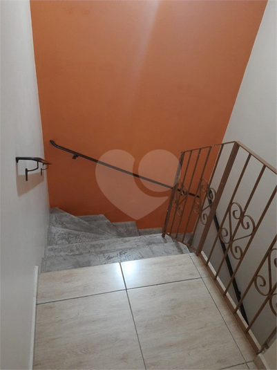 Foto REO1116260