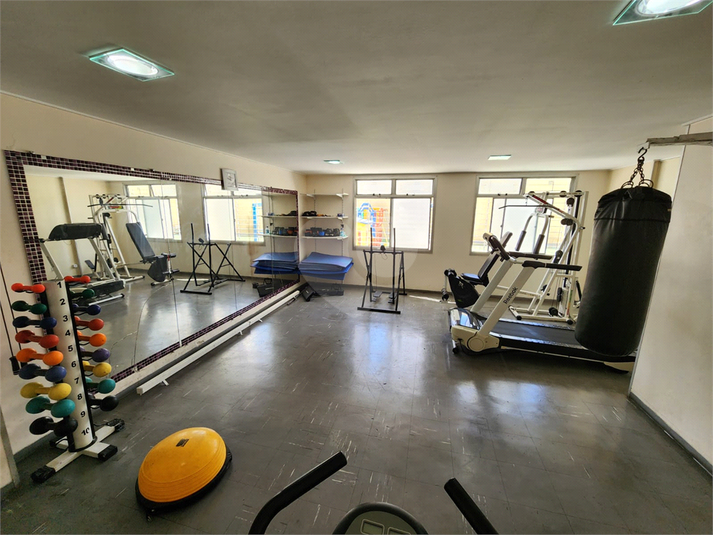 Foto REO1116262