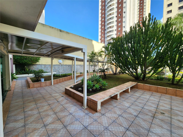 Foto REO1116262