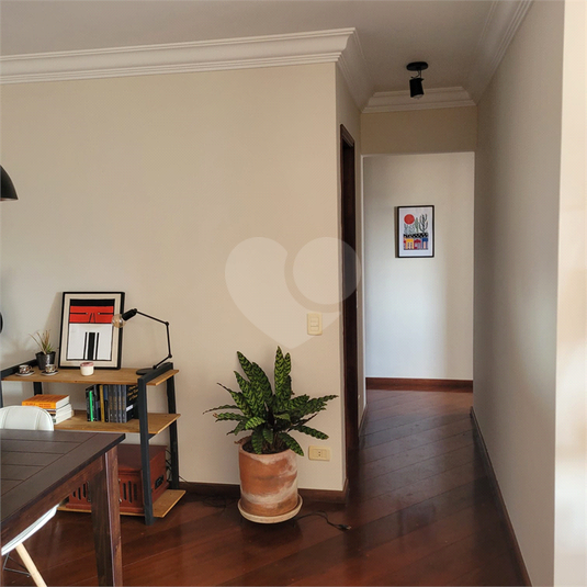 Foto REO1116267