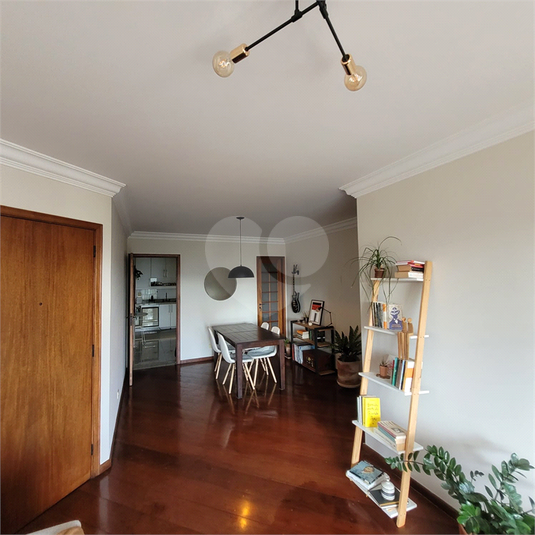 Foto REO1116267