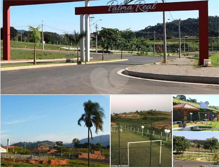 Foto REO1116268