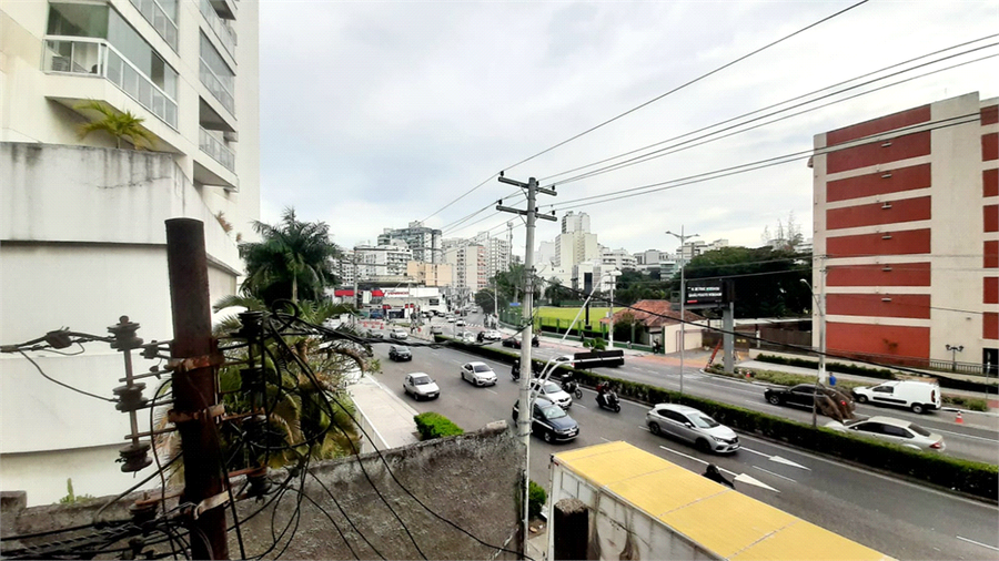 Foto REO1116269