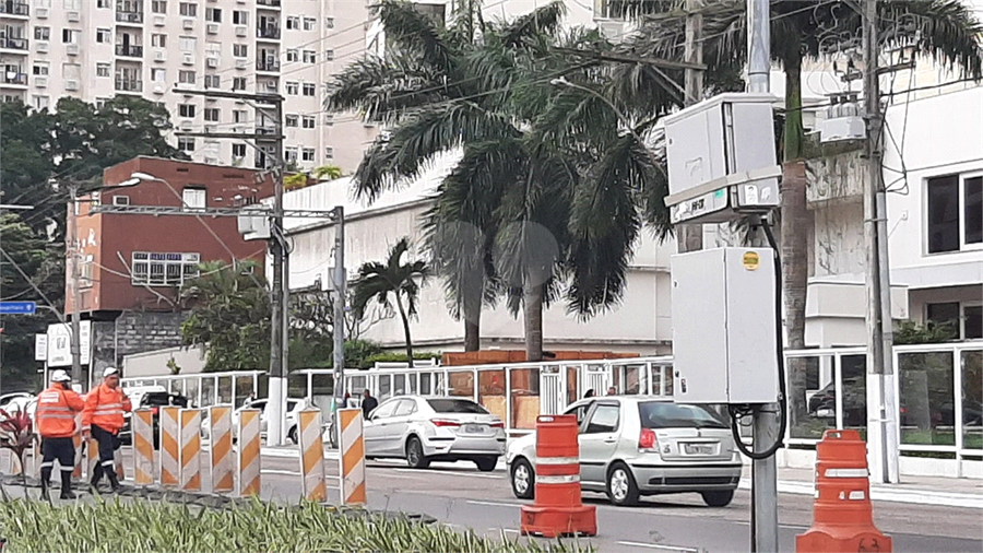 Foto REO1116269