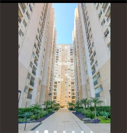 Foto REO1116270