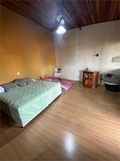Foto REO1116283