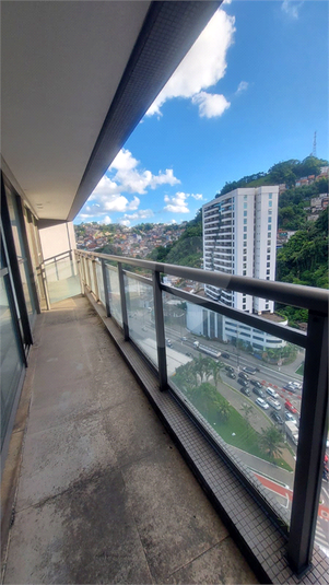 Foto REO1116284