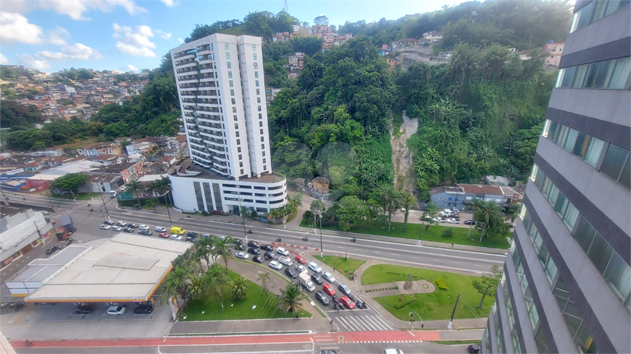 Foto REO1116284