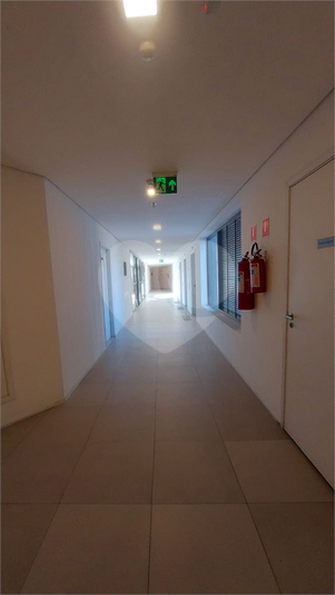 Foto REO1116284